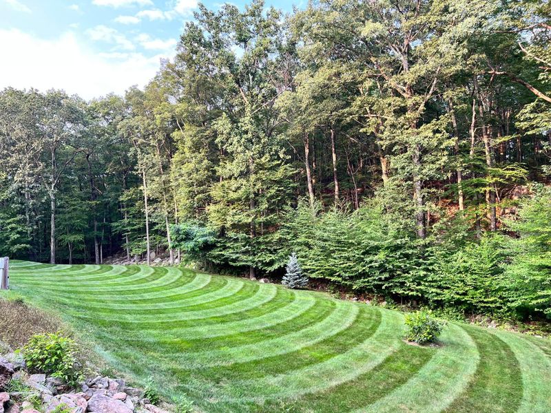 Lawn Maintenance