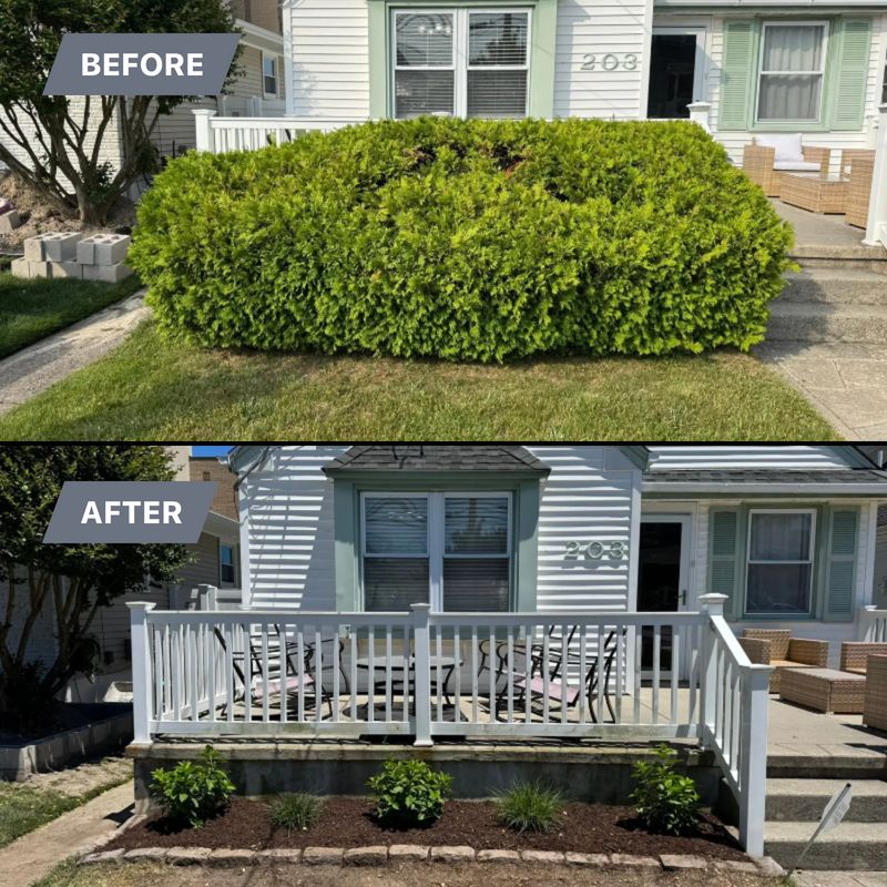 Landscape Design
