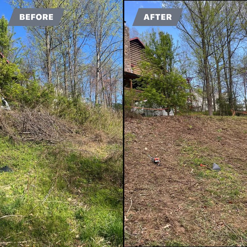 Land Clearing