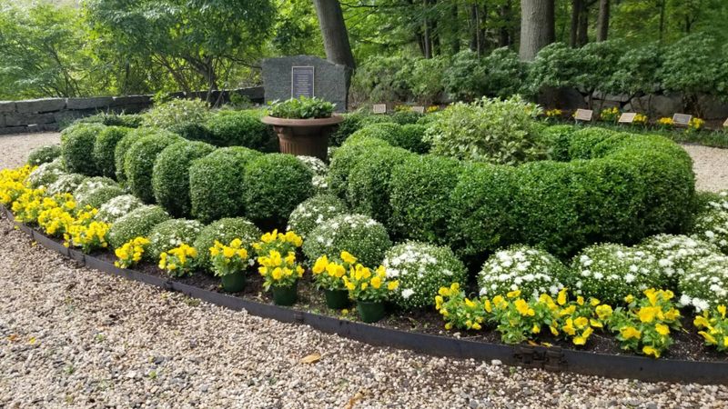 Shrub Trimming