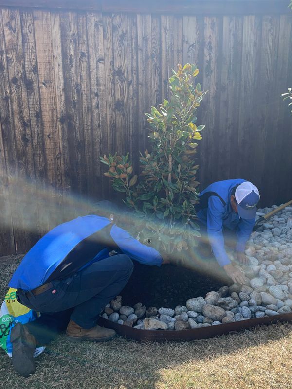 Mulch Installation