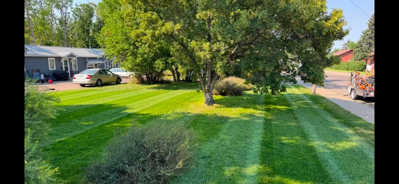 Lawn Maintenance