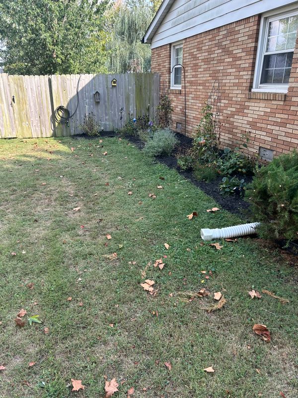 Garden Care and Planting