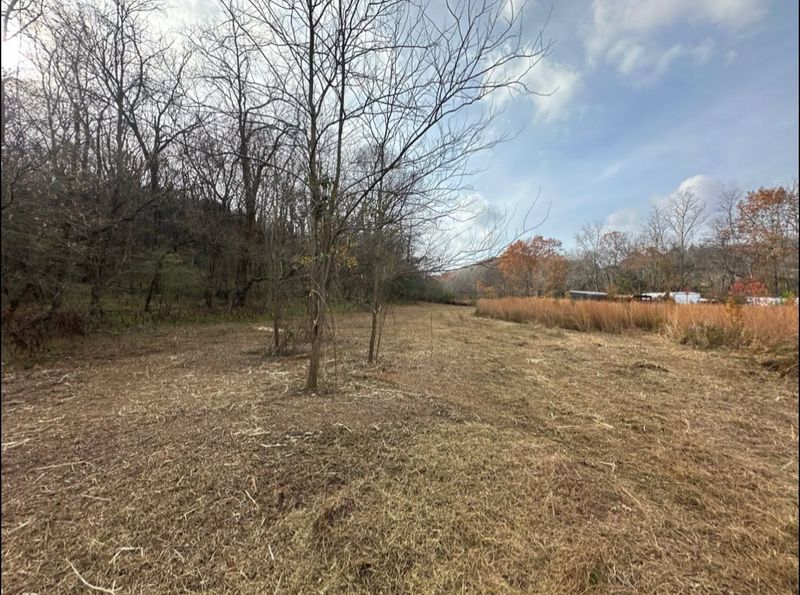 Brush Clearing