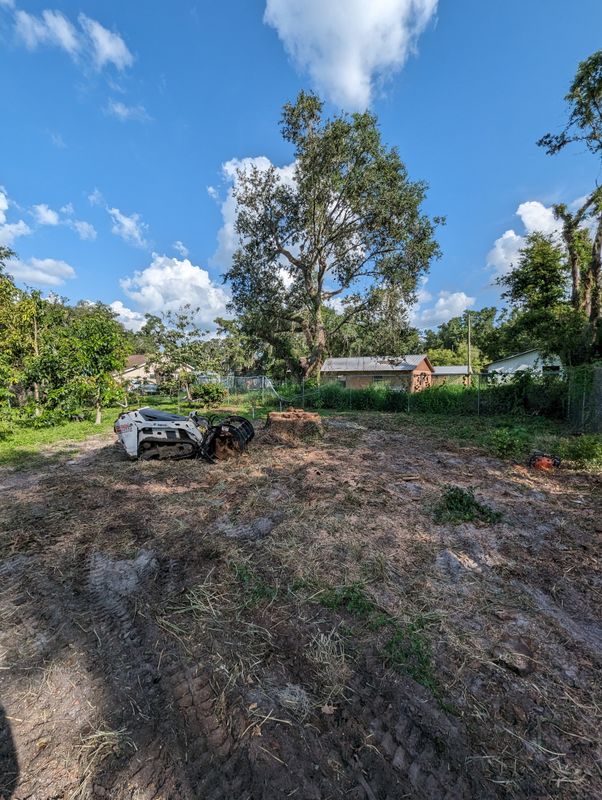Land Clearing