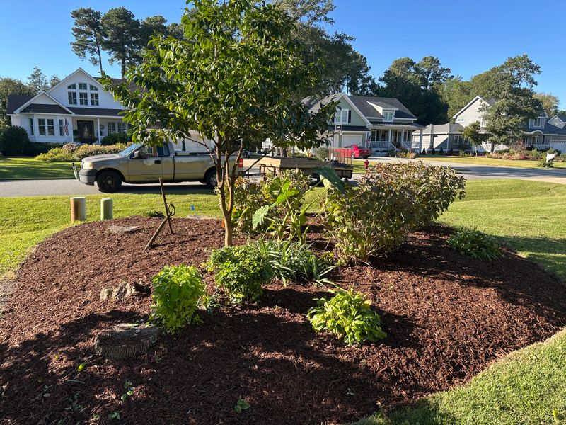 Mulch Installations