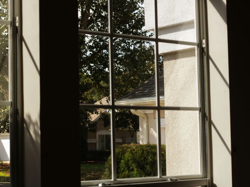 Windows & Doors