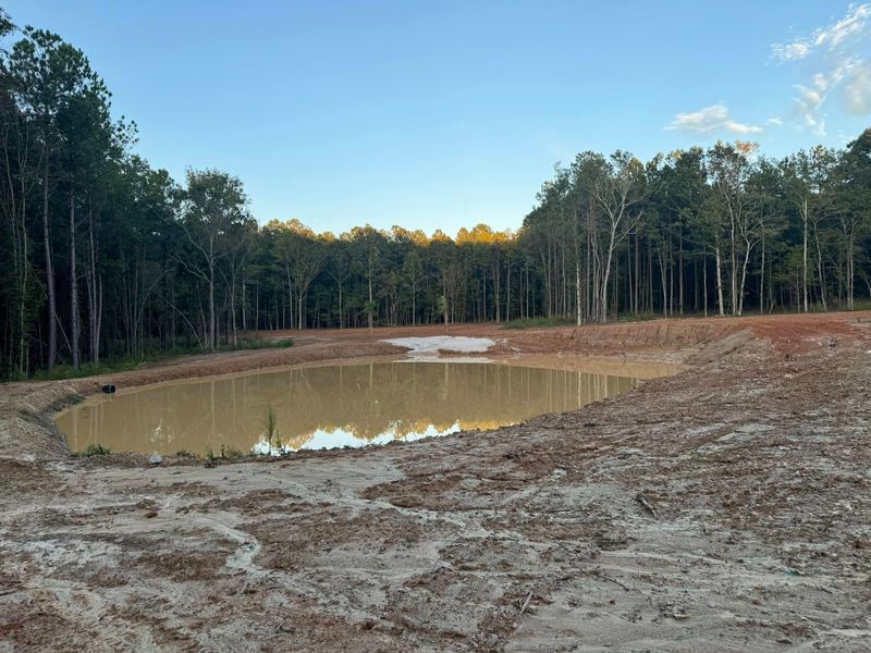 Ponds