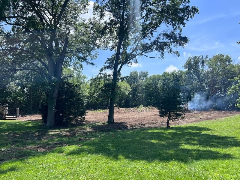 Land Clearing