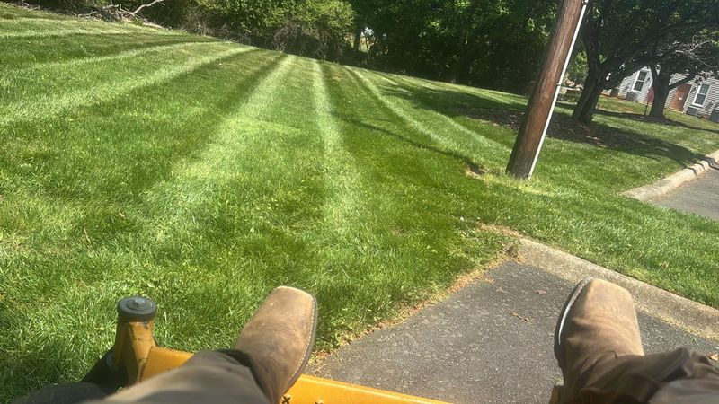 Lawn Care