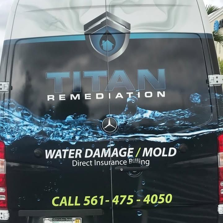 Mold Remediation