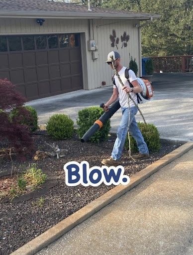Lawn Mowing and Maintenance
