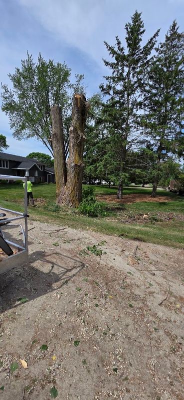 Land Clearing