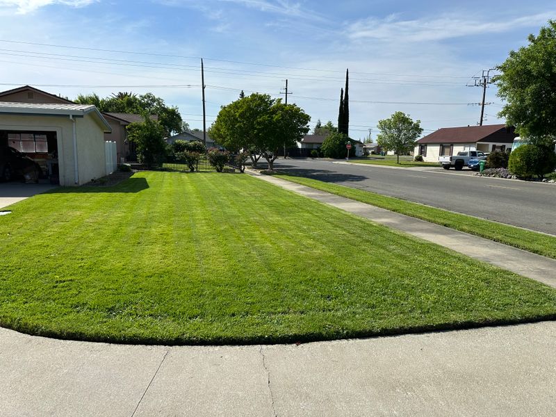 Lawn Maintenance