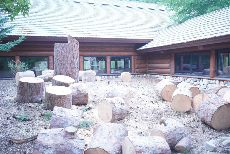 Tree Removal / Service