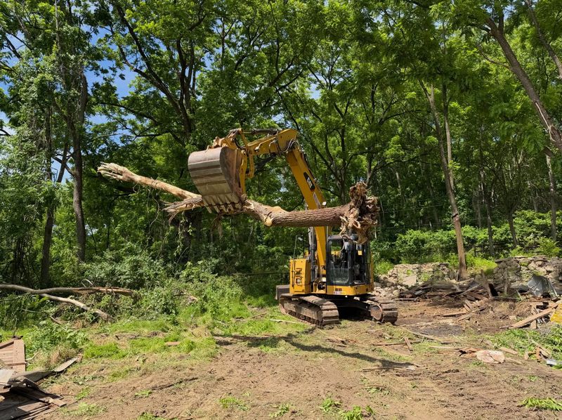 Land Clearing