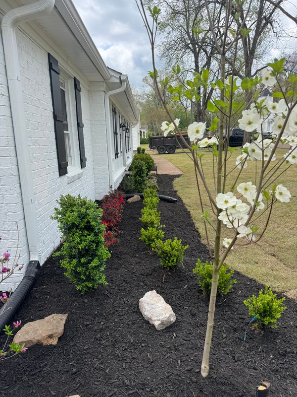 Landscape Design