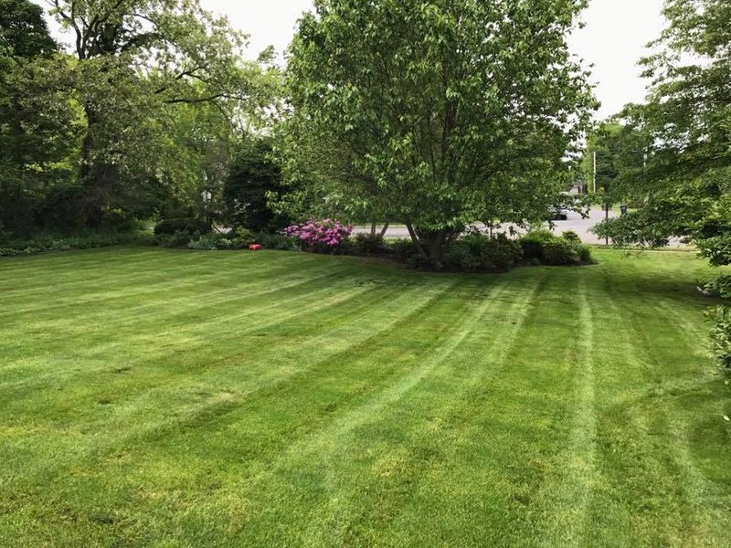 Mowing