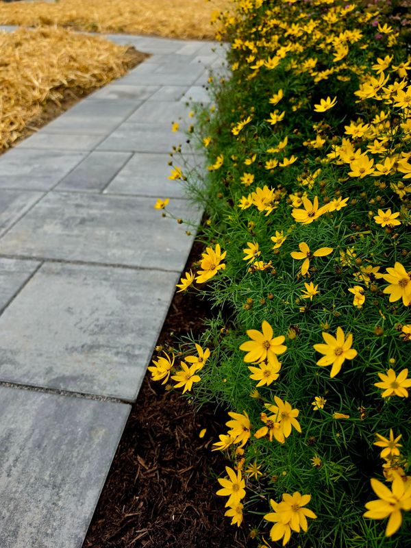 Custom Hardscapes