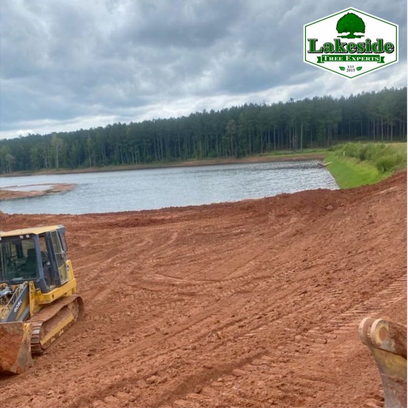 Land Clearing