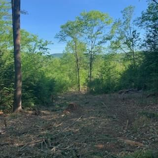 Land Clearing