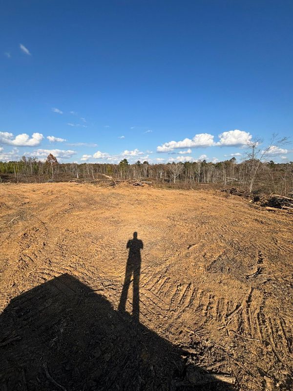 Land Clearing
