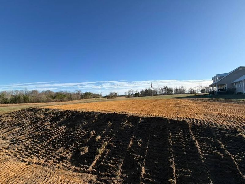 Land Clearing