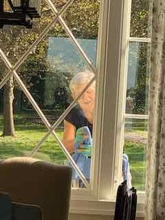 Window Cleaning