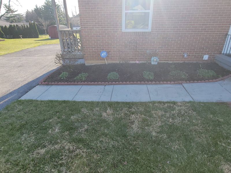 Beautiful Lawns