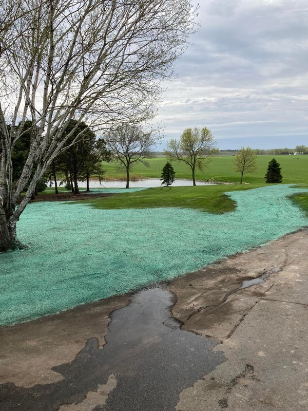 Hydroseeding