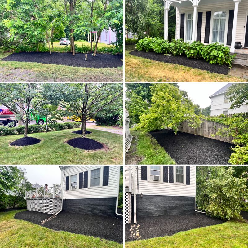 Landscaping