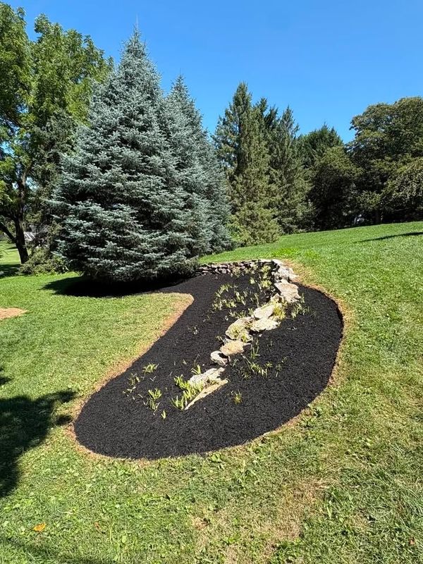 Landscape Install & Removal
