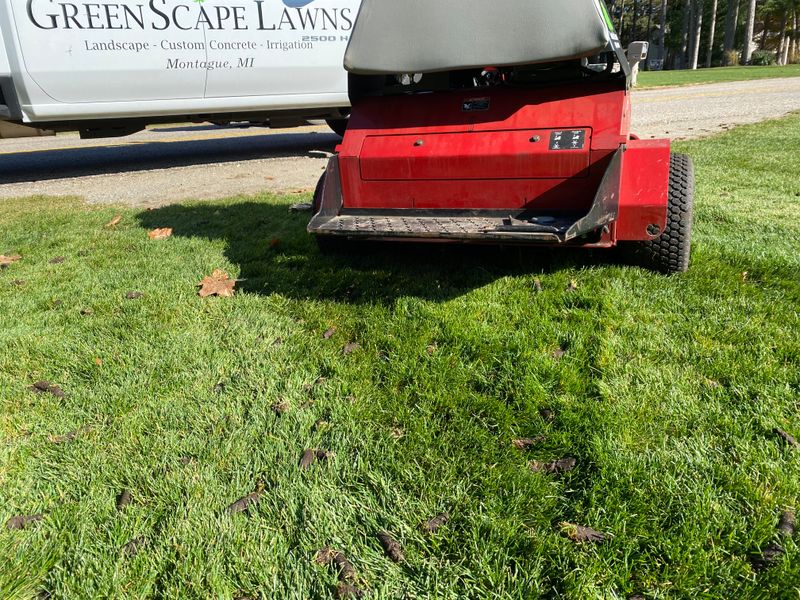 Lawn Aeration