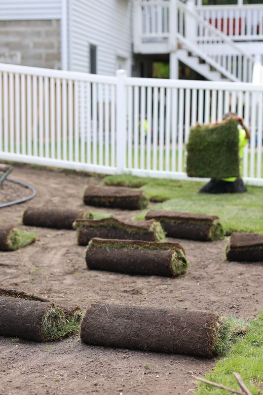 Sod Installation
