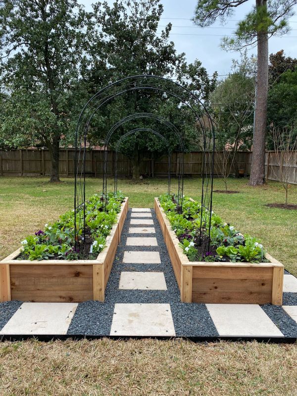 Garden Care and Planting