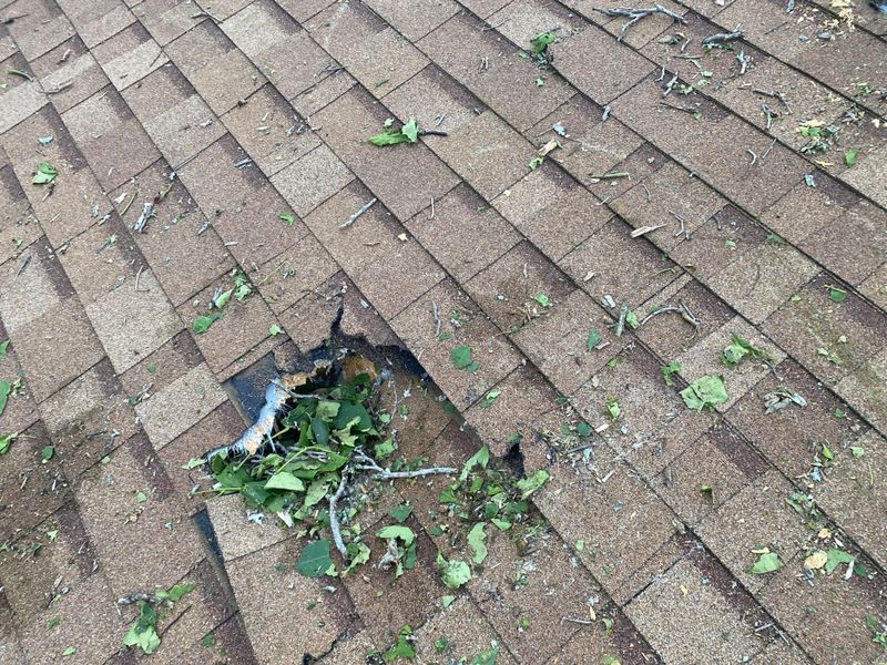 Roof Installation
