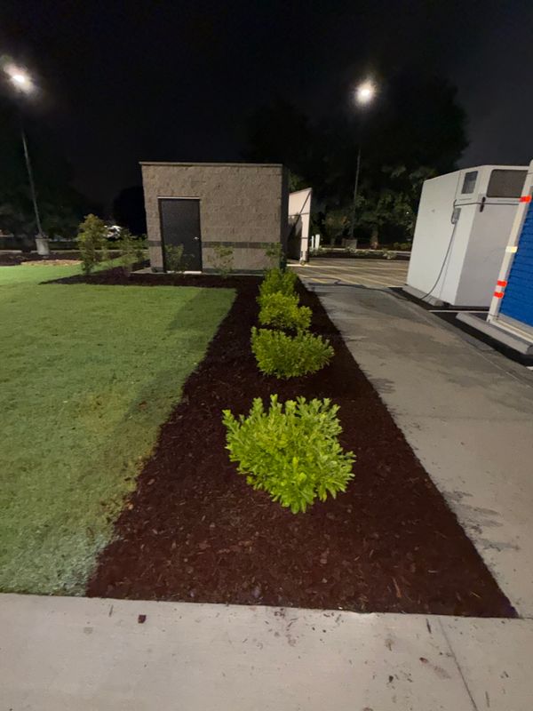 Sod Installs