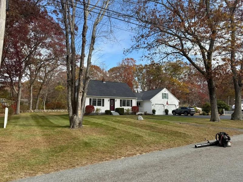 Fall Clean Up