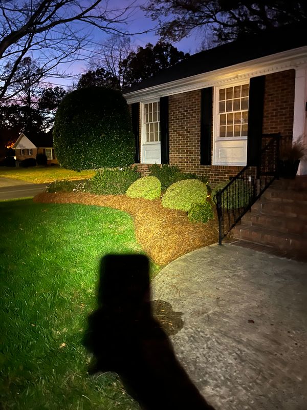 Pine Needle Installation