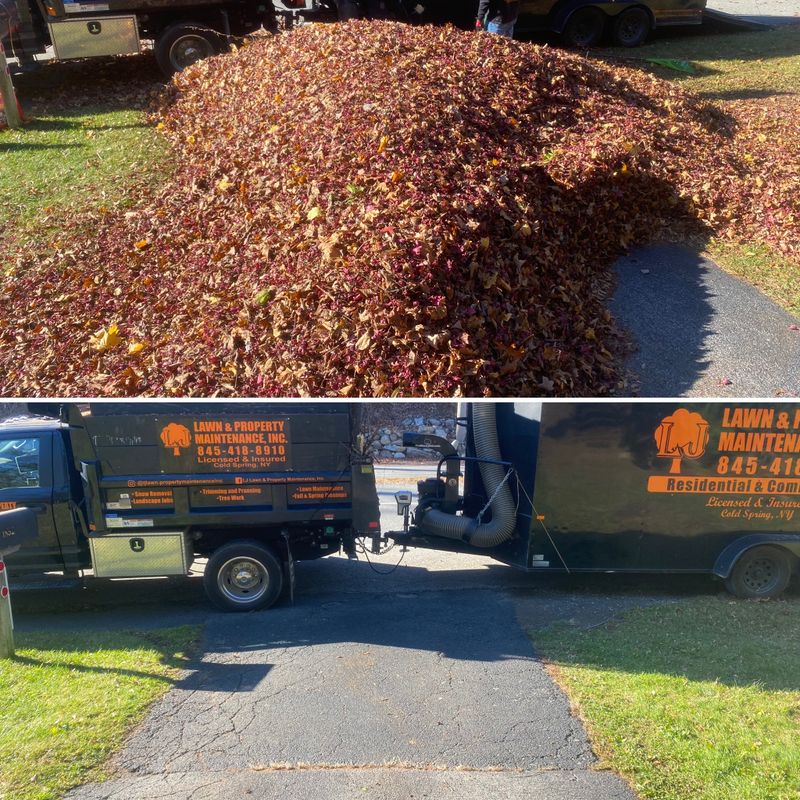 Fall Clean Up