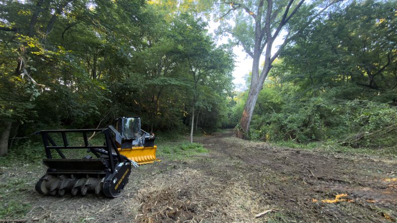 Timber Mulching & Clearing