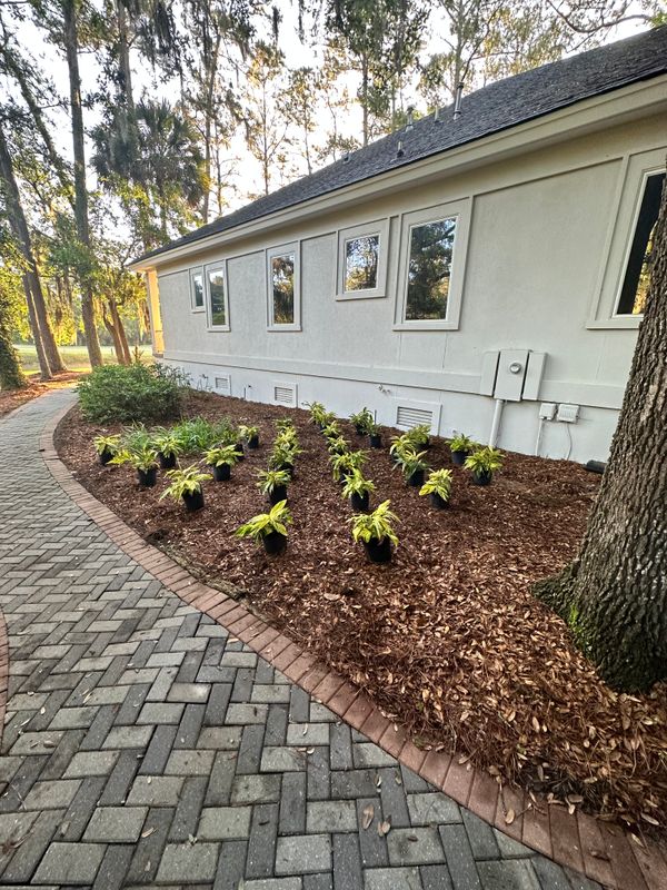 Landscaping