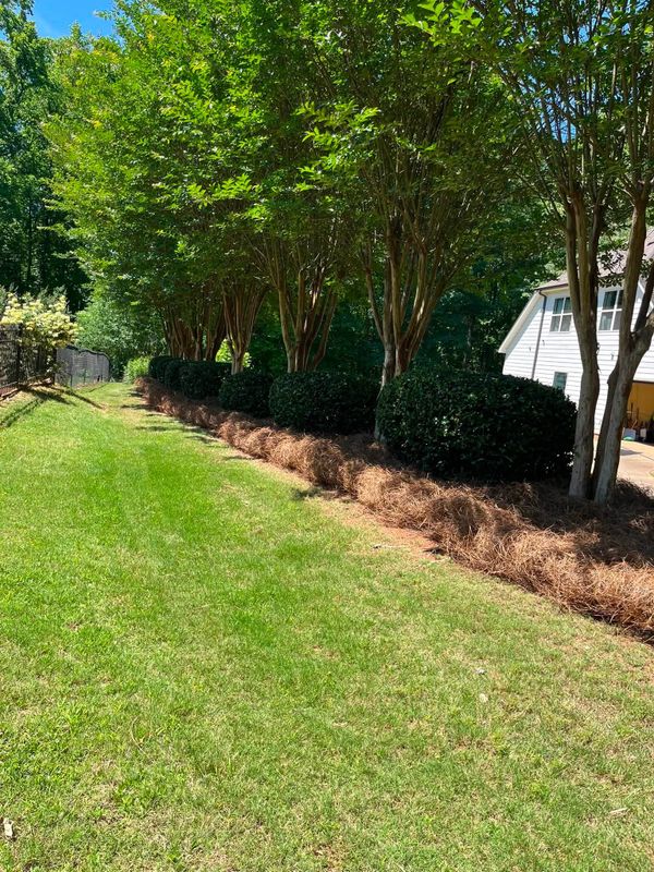Lawn Care & Maintenance