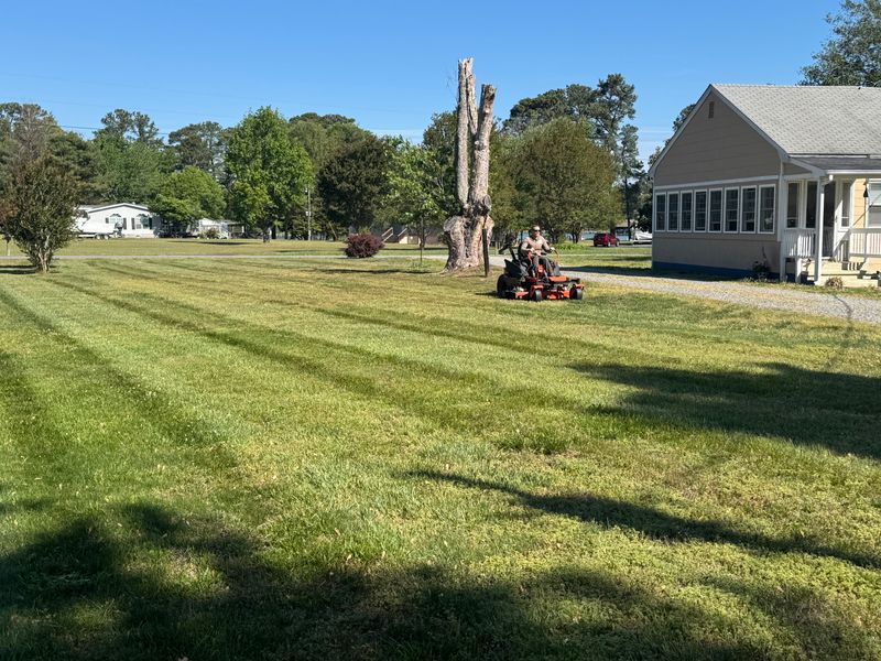 Mowing gallery