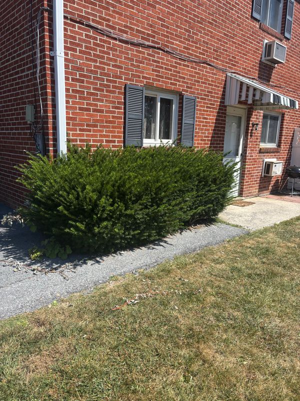 Garden Maintenance