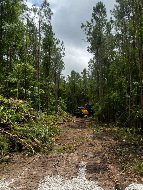 Land Clearing