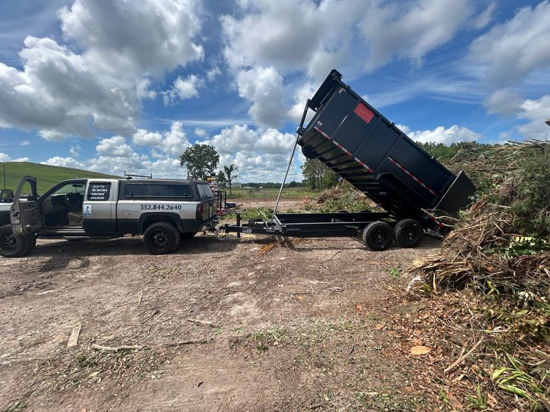Yard Waste Removal
