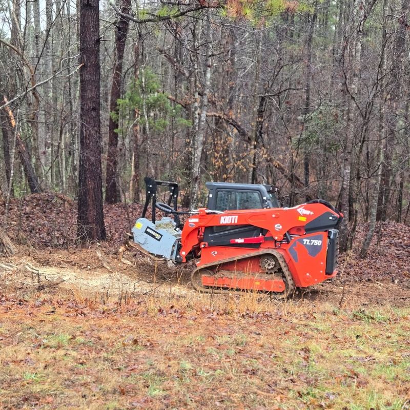 Skid Steer Dirt Work