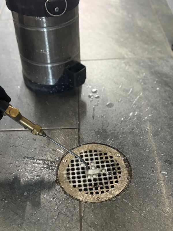 Commercial Pest Control