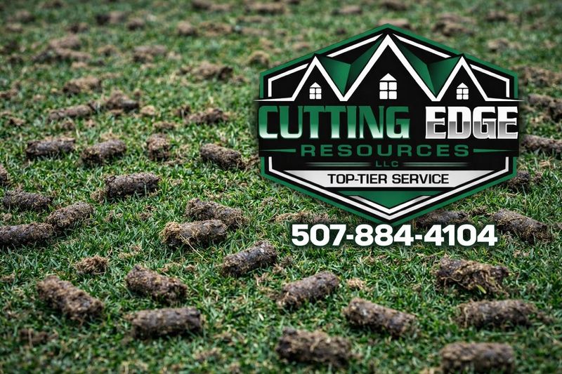 Lawn Renovations